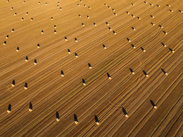 Germany: Traces from combine harvester and hay bales on a grainfield from above.