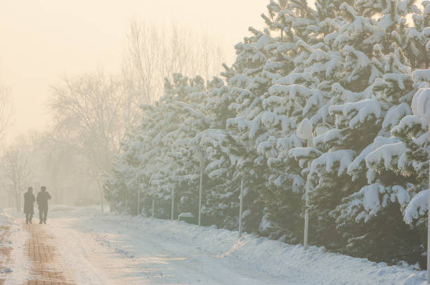 istock Winter frost sunset 838133288