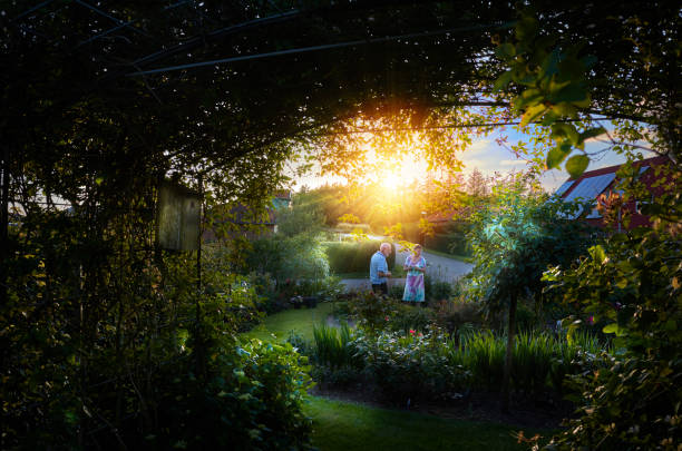 Lens flare in the sunset in village garden in Denmark one beautiful summer evening. Retired couple inspecting the garden