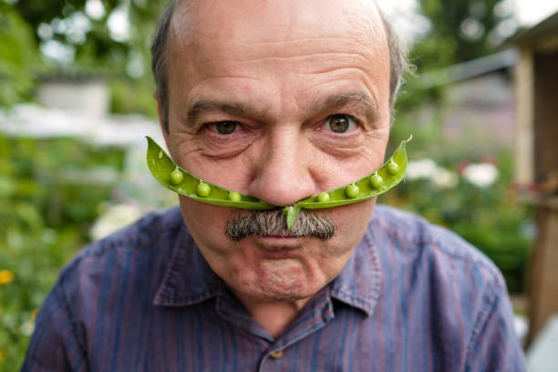 An elderly man is fooling around. He holds a pea pod near his face like a mustache An elderly man is fooling around. He holds a pea pod near his face like a mustache. Positive emotion happy green peas stock pictures, royalty-free photos & images