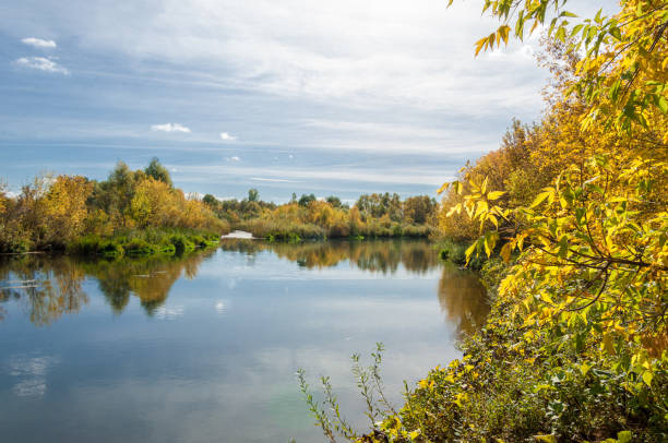 istock Autumn, the river covered with forest, a bright sunny day 838158098