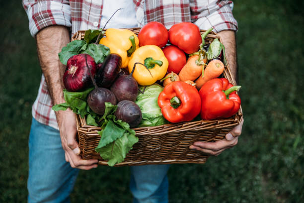 istock farmer holding basket with vegetables 838159682