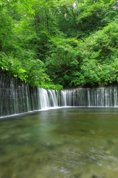 istock Summer Shiraito Falls 838164750