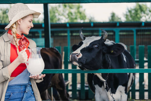 istock farmer with fresh milk in stall 838172936