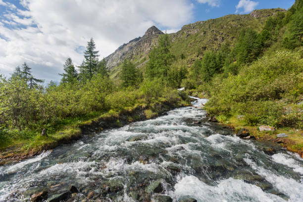 istock Akkem river. Altai mountains. Russia 838176216