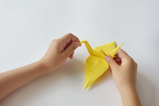 lesson of origami