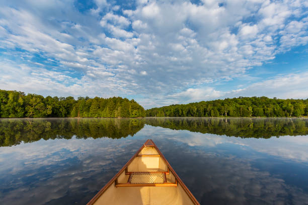 istock Canoe bow on a Canadian lake in summer 838182444