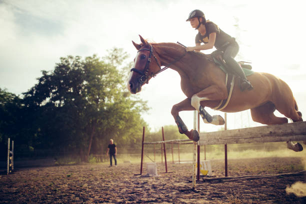 젊은 여성 장애물에 뛰어 드는 말에 기 수 - horse show jumping jumping performance 뉴스 사진 이미지