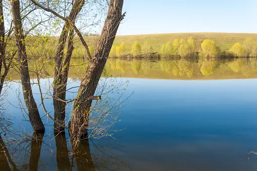 Spring Lake Pictures | Download Free Images on Unsplash