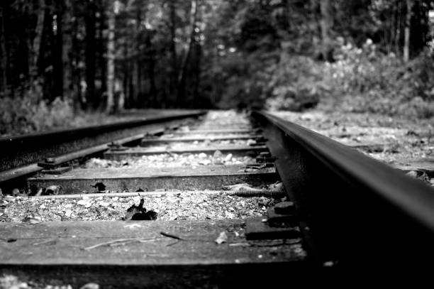 Rails, Railway, Railroad stock photo