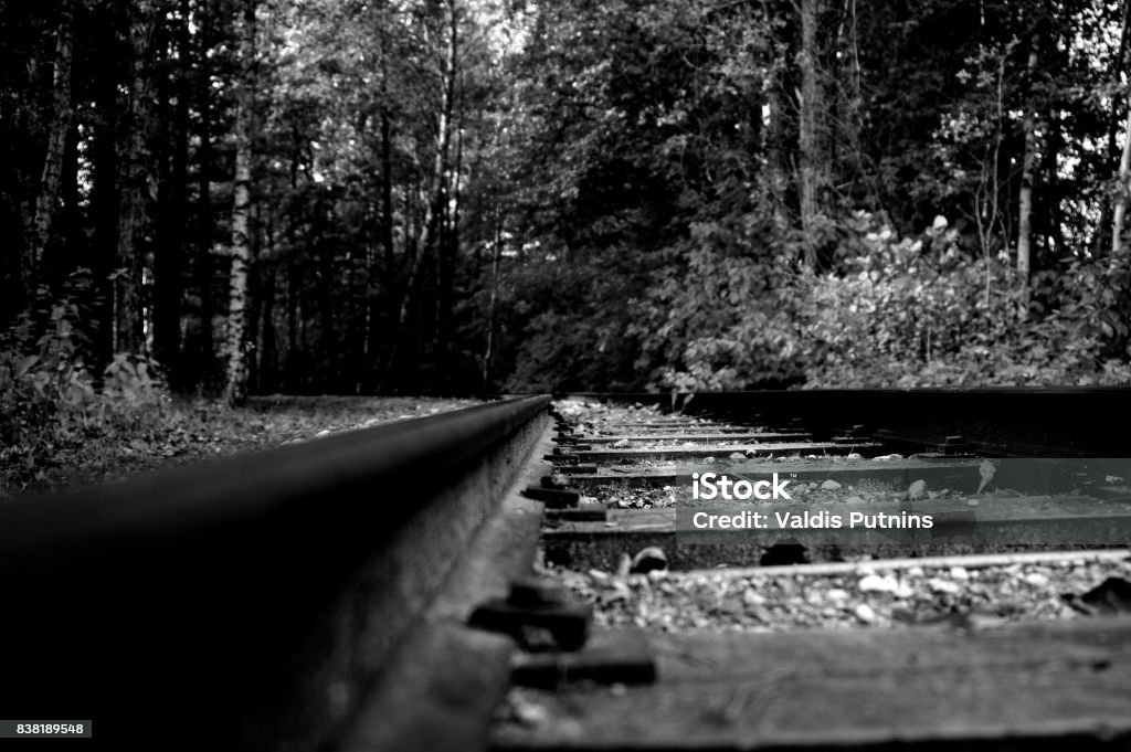 Rails, Railway, Railroad Waldisputninsphotography, Monochrome, Blackandwhite, www.waldisputnins.com Black Color Stock Photo