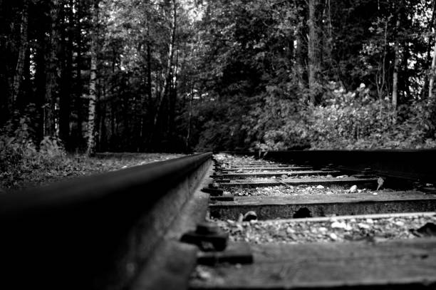 Rails, Railway, Railroad stock photo