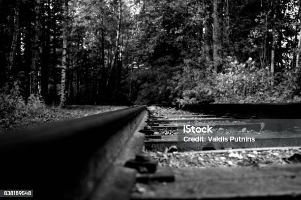 Rails Railway Railroad Stock Photo - Download Image Now - Black Color, Rail Transportation, White Color