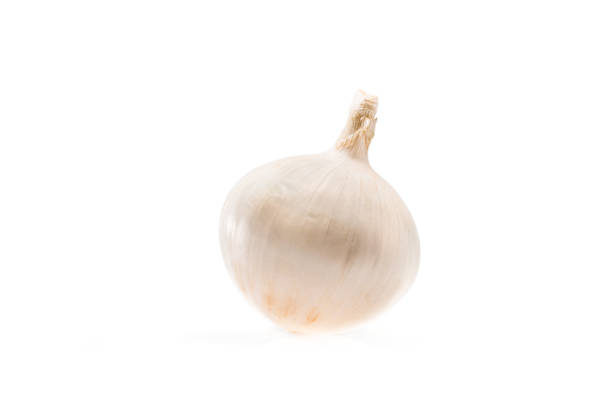 healthy ripe white unpeeled onion isolated on white