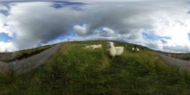 Spherical 360 degrees seamless panorama in equirectangular projection, panorama of natural landscape in Bergen, Norway. VR content