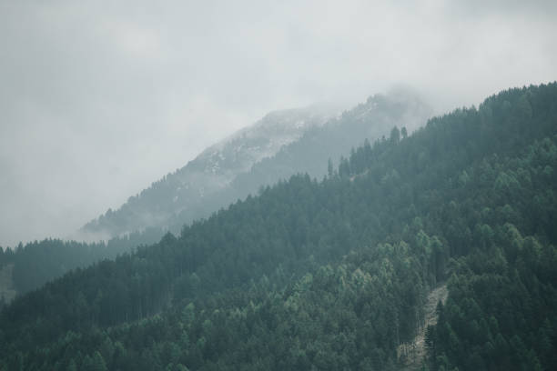 Beautiful mountains nature landscape at summer daytime