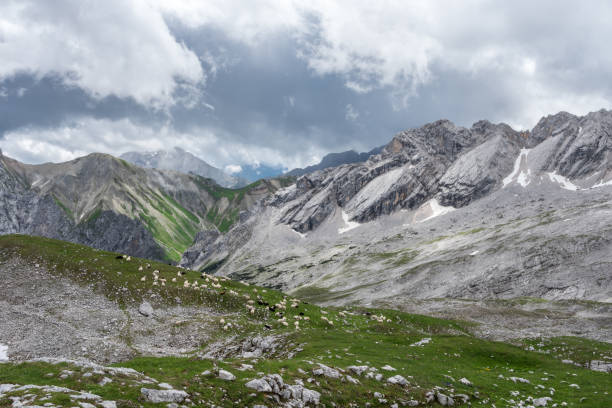 le montagne delle alpi in baviera, germania - jumbuck foto e immagini stock