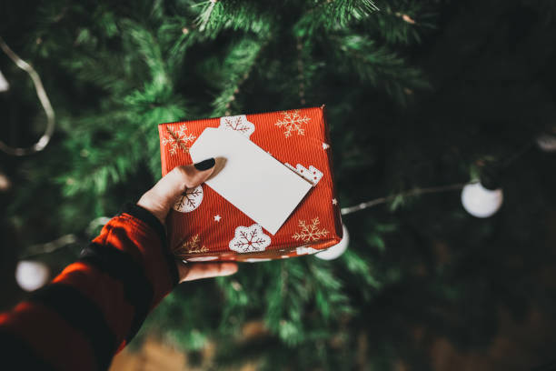 istock Closeup on woman putting Christmas present box under Christmas tree. 838218146