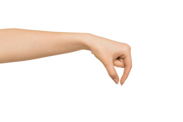 istock Female hand picking up something, cutout 838221938