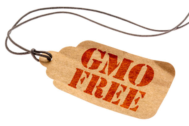 istock GMO free sign on paper price tag 838233086