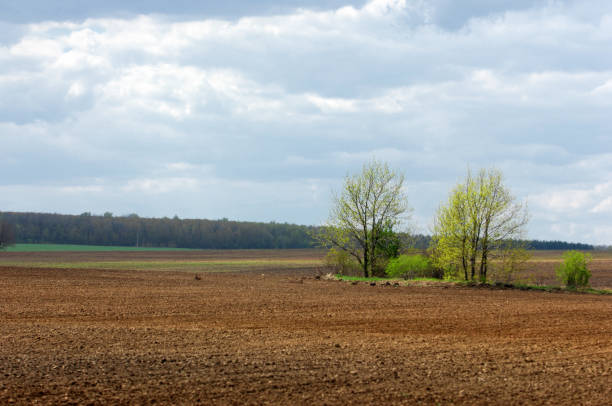 istock Road COUNTRY in spring day 838233448