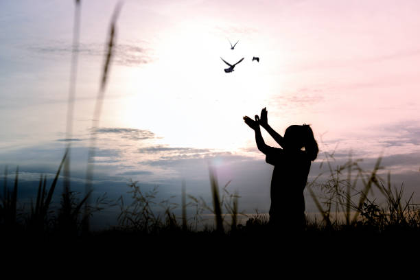 silhouette people making hand as bird and release birds to be freedom and free stock photo