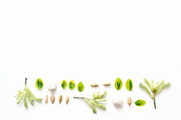 istock Floral Arrangement On White Background 838238706