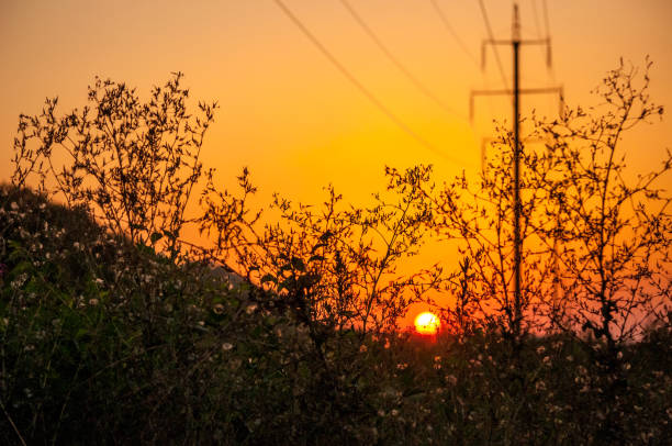 istock Green Field and Beautiful Sunset 838245574
