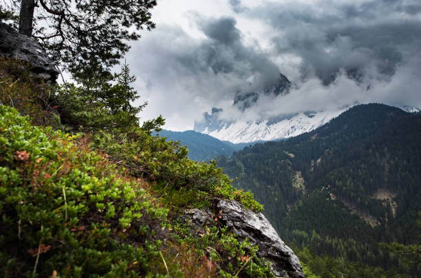 istock Green forest and snowy mountains. Dolomites Alps 838249196