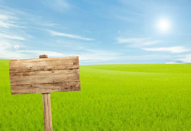 istock Wooden sign with empty space in rice field. 838250256