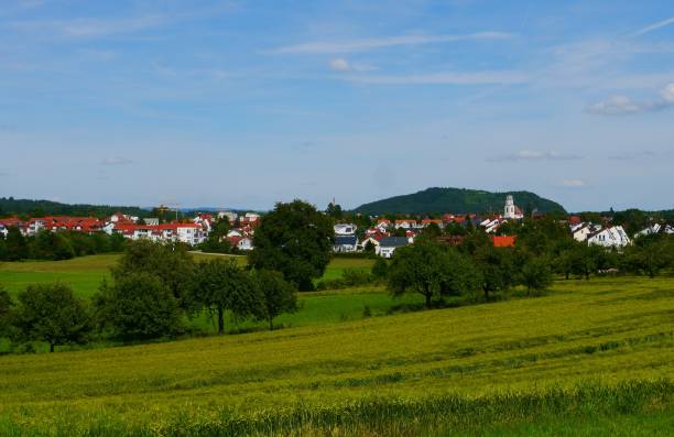 istock green fields summer sun nature plants forest germany 838253684