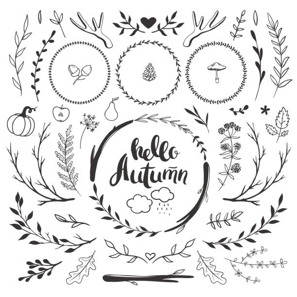 autumn rustic set with floral doodles Autumn decorative set with floral wreaths, flowers, leaves and herbs. Vector hand drawn autumn doodles isolated on white, rustic style. harmonia stock illustrations