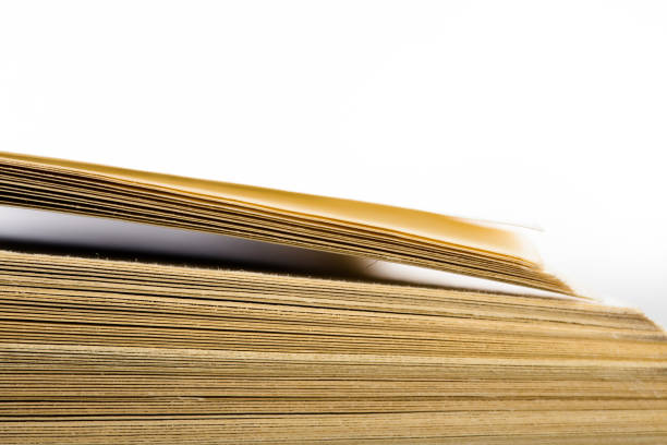 istock Education and wisdom concept - Macro view of book pages 838257868