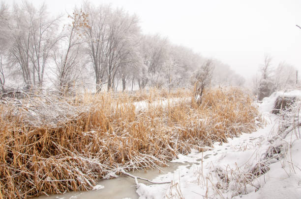 istock winter, winter-tide, winter-time 838262190