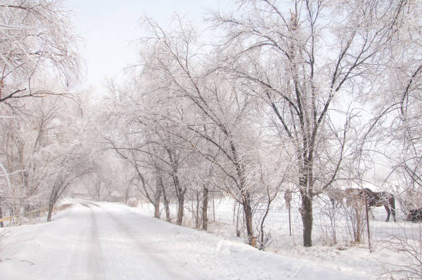 istock winter, winter-tide, winter-time 838262384