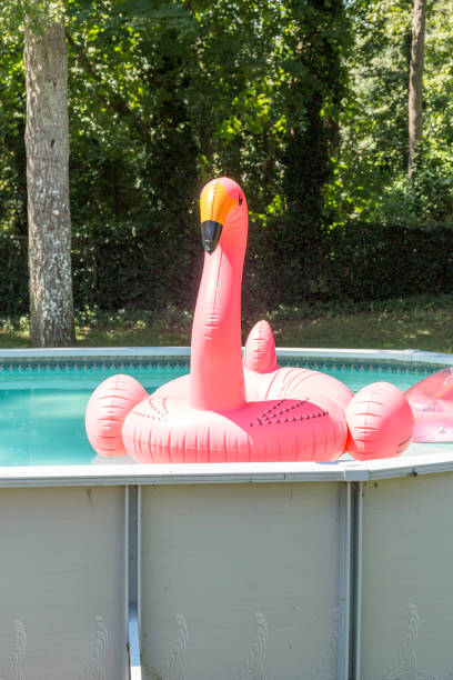 istock Blow up pink flamingo in pool 838273736