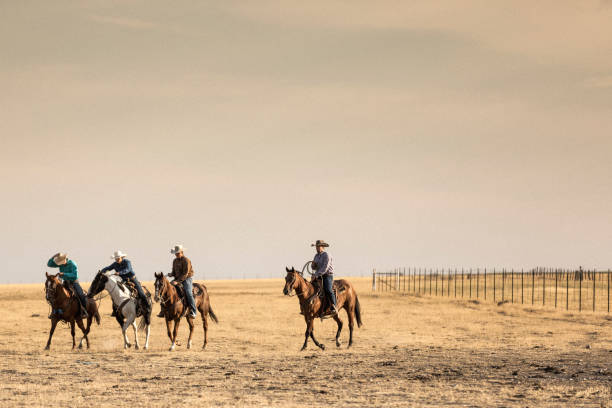 istock Four cowboys horseback riding together. 838273916