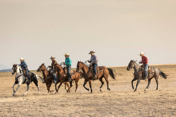 istock Five cowboys horseback riding together. 838273922