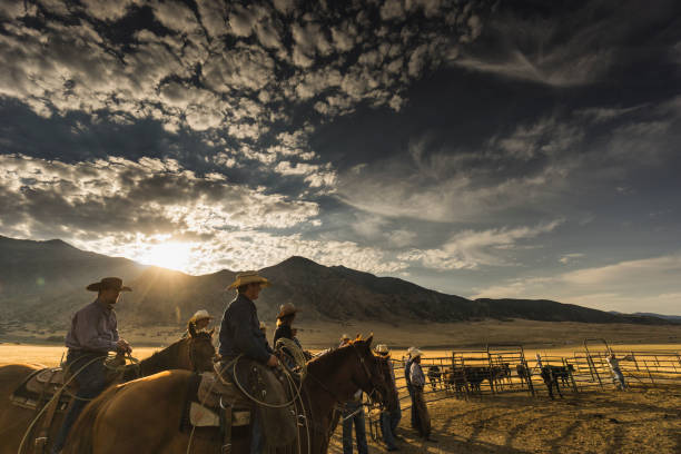 ao nascer do sol, um grupo de vaqueiros e uma cowgirl está pronto para começar o seu dia de trabalho. gado visível ao fundo. - cowboy cowboy hat hat summer - fotografias e filmes do acervo