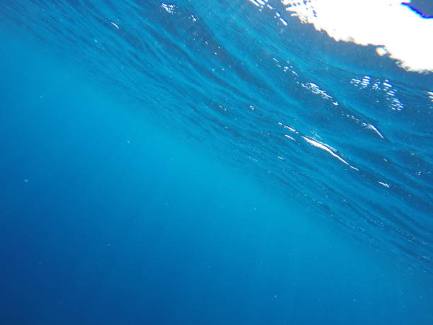 istock Underwater blue background in sea 838277010