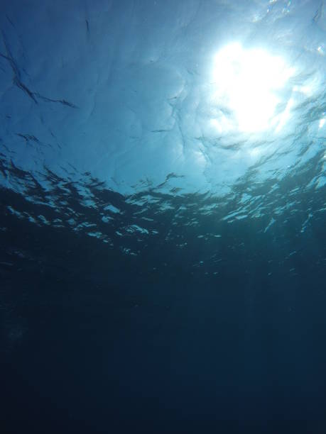 istock Underwater blue background in sea 838277184