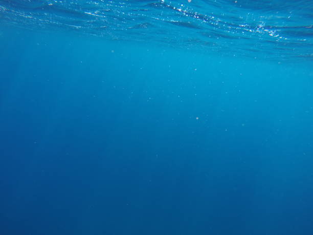 istock Underwater blue background in sea 838277548