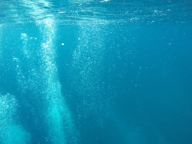istock Underwater blue background in sea 838277612