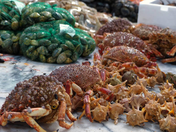 istock Seafood is offered on the market 838280684