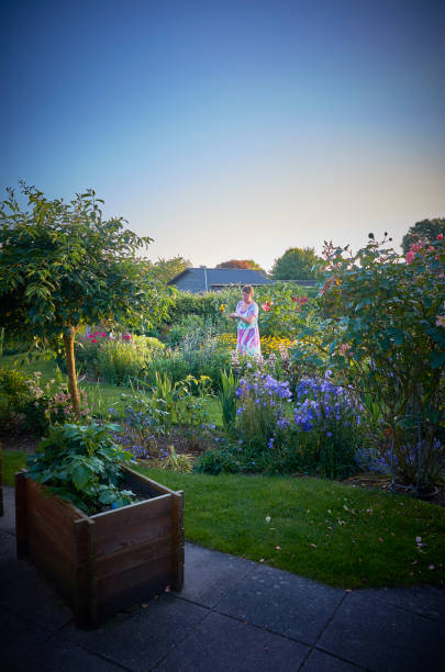 istock Small town garden late afternoon 838301302