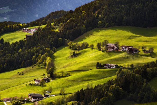 istock Beautiful green meadow at sunset. Nature landscape 838303796