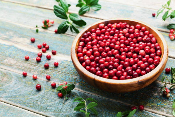 istock Ripe cowberry (lingonberry, partridgeberry, foxberry) on vintage table. 838309214