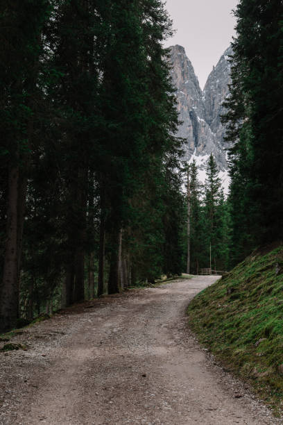 istock Green trees and snowy mountains. Dolomites Alps 838310020