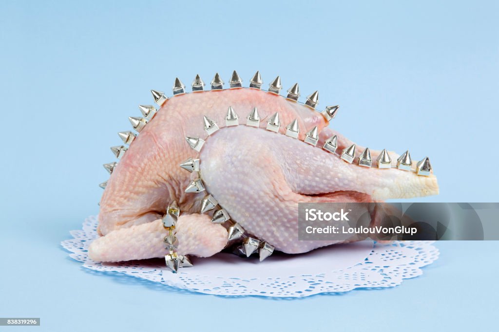 chiken punk spike playful mashup using a chicken and punk spikes on a blue background. Minimal color still life and quirky photography Food Stock Photo