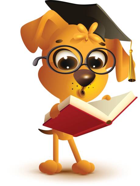 노란 개 교사 책 읽기 - dog graduation hat school stock illustrations